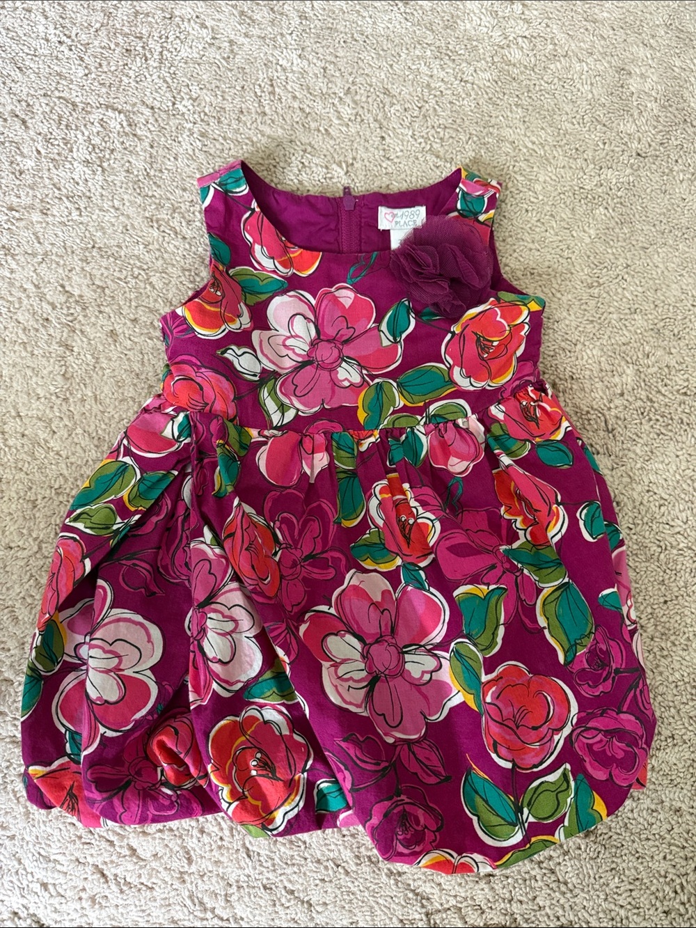 The Children's Place Magenta Floral Bubble Dress with Green Leaves size 2T